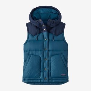 Patagonia Hooded Bivy Vest